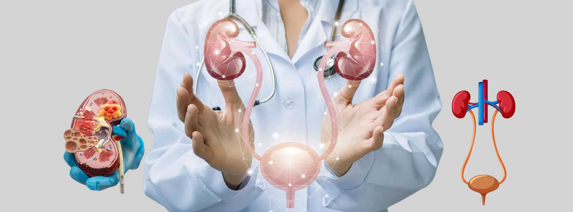 Cardiology